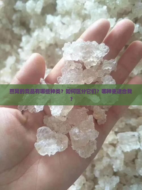 燕窝的竞品有哪些种类？如何区分它们？哪种更适合我？