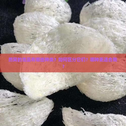 燕窝的竞品有哪些种类？如何区分它们？哪种更适合我？