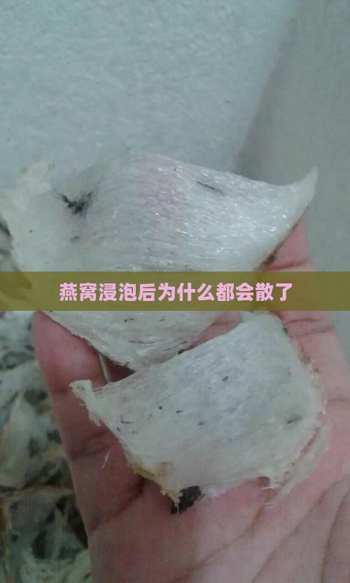 燕窝浸泡后为什么都会散了
