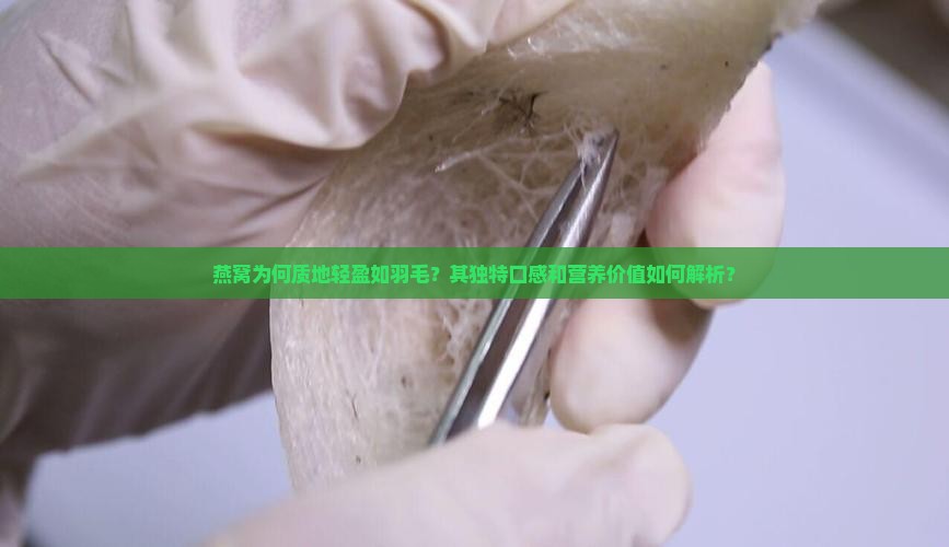 燕窝为何质地轻盈如羽毛？其独特口感和营养价值如何解析？