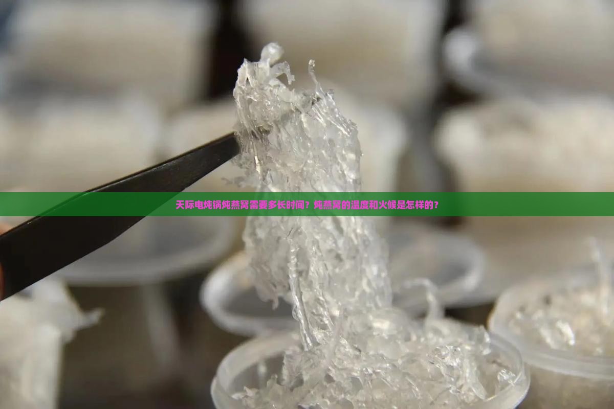 天际电炖锅炖燕窝需要多长时间？炖燕窝的温度和火候是怎样的？