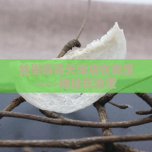 丝巢燕窝天津店在哪里——地址在这里