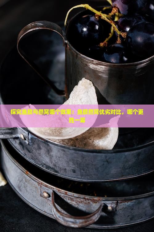 探究鱼胶与燕窝哪个效果：鱼胶燕窝优劣对比，哪个更胜一筹