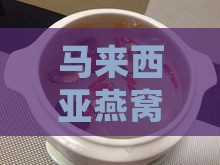 马来西亚燕窝炖煮指南：传统炖法详解
