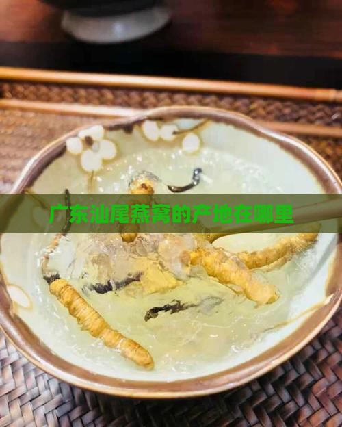 广东汕尾燕窝的产地在哪里