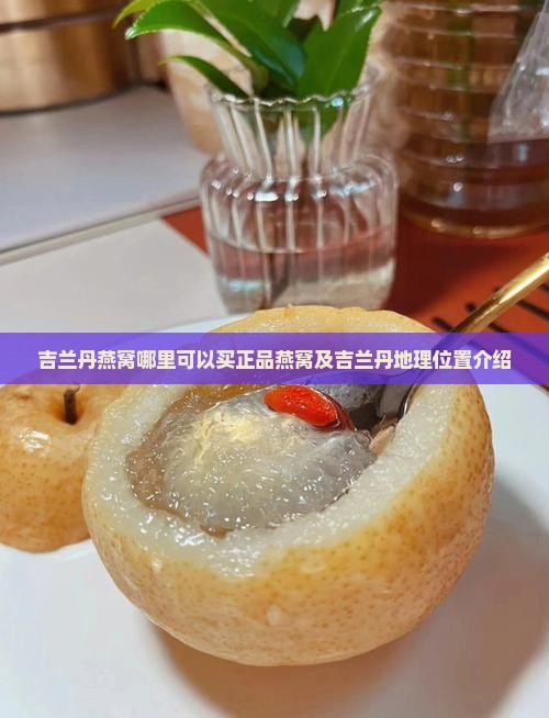 吉兰丹燕窝哪里可以买正品燕窝及吉兰丹地理位置介绍