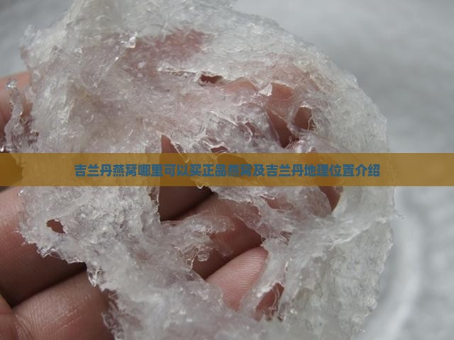 吉兰丹燕窝哪里可以买正品燕窝及吉兰丹地理位置介绍