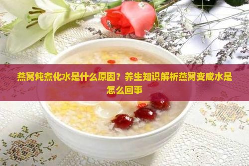 燕窝炖煮化水是什么原因？养生知识解析燕窝变成水是怎么回事