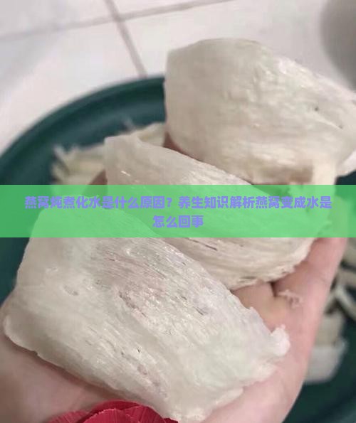 燕窝炖煮化水是什么原因？养生知识解析燕窝变成水是怎么回事
