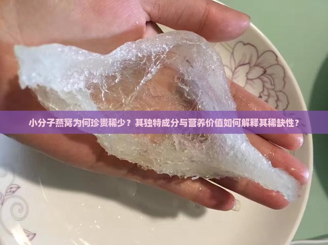 小分子燕窝为何珍贵稀少？其独特成分与营养价值如何解释其稀缺性？