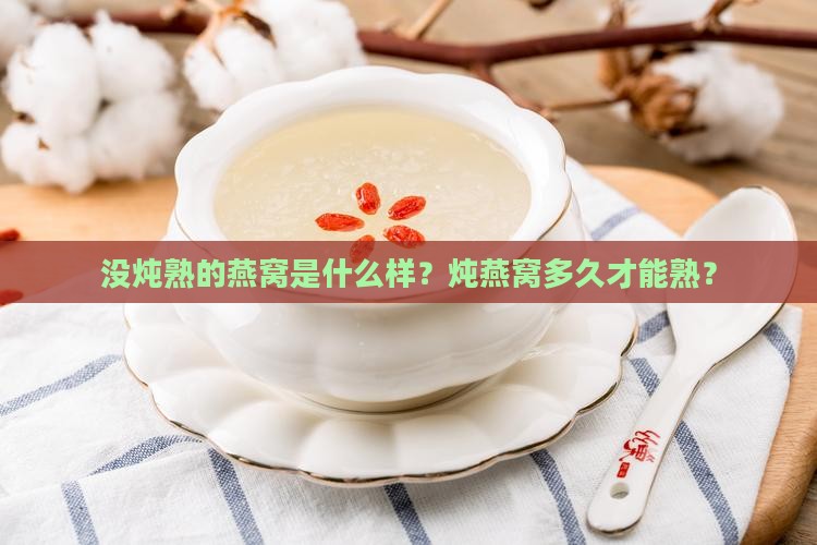 没炖熟的燕窝是什么样？炖燕窝多久才能熟？
