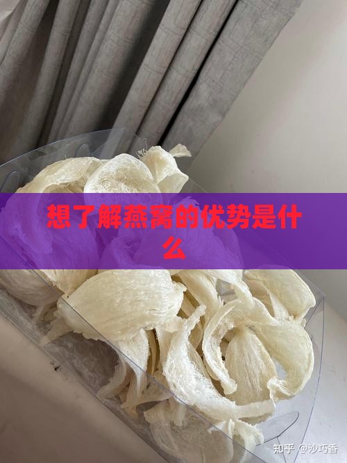 想了解燕窝的优势是什么