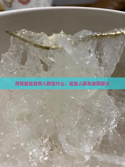 燕窝最宜食用人群是什么：适宜人群及食用建议