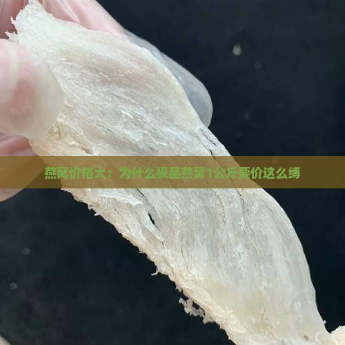 燕窝价格大：为什么极品燕窝1公斤要价这么缚