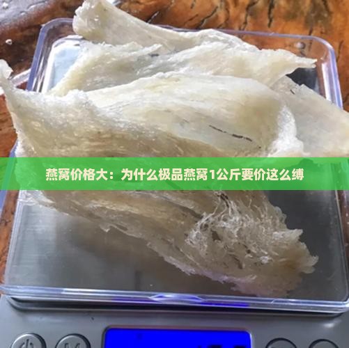 燕窝价格大：为什么极品燕窝1公斤要价这么缚