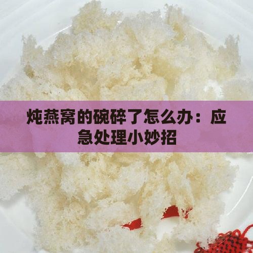 炖燕窝的碗碎了怎么办：应急处理小妙招