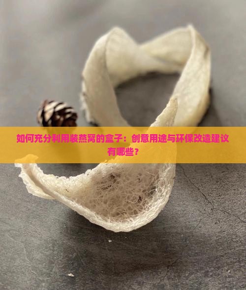 如何充分利用装燕窝的盒子：创意用途与环保改造建议有哪些？