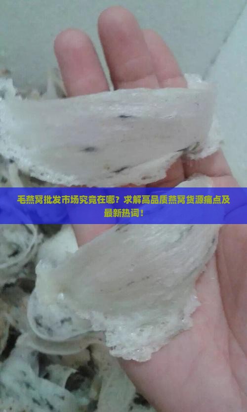 毛燕窝批发市场究竟在哪？求解高品质燕窝货源痛点及最新热词！