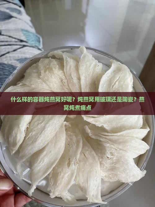 什么样的容器炖燕窝好呢？炖燕窝用玻璃还是陶瓷？燕窝炖煮痛点