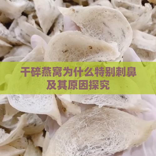干碎燕窝为什么特别刺鼻及其原因探究