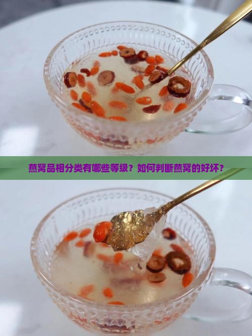 燕窝品相分类有哪些等级？如何判断燕窝的好坏？
