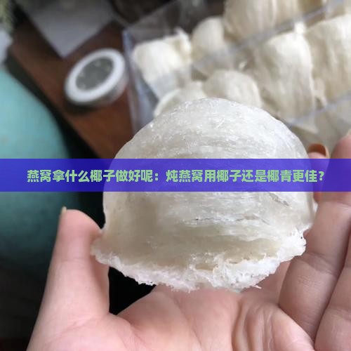 燕窝拿什么椰子做好呢：炖燕窝用椰子还是椰青更佳？