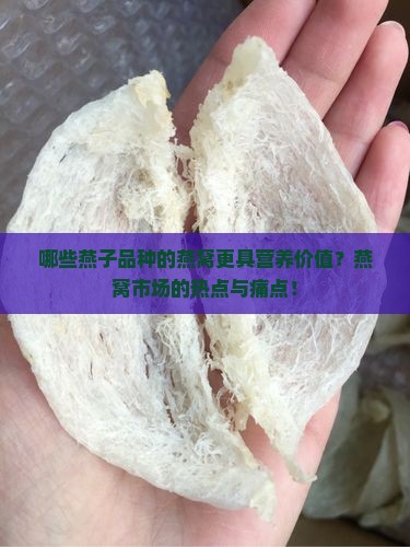哪些燕子品种的燕窝更具营养价值？燕窝市场的热点与痛点！