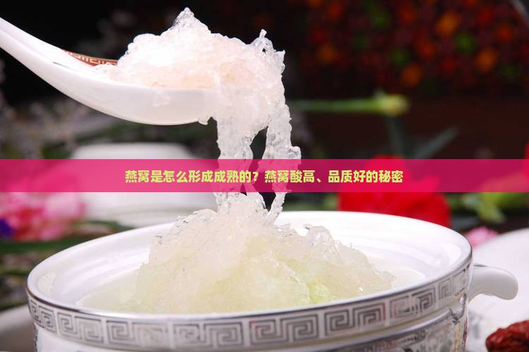 燕窝是怎么形成成熟的？燕窝酸高、品质好的秘密
