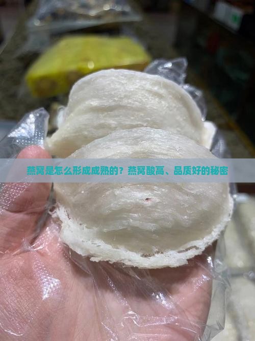 燕窝是怎么形成成熟的？燕窝酸高、品质好的秘密