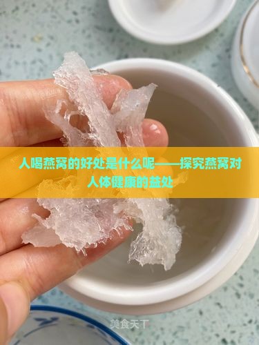 人喝燕窝的好处是什么呢——探究燕窝对人体健康的益处