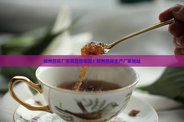 郑州燕窝厂家具置在哪里？郑州燕窝生产厂家地址
