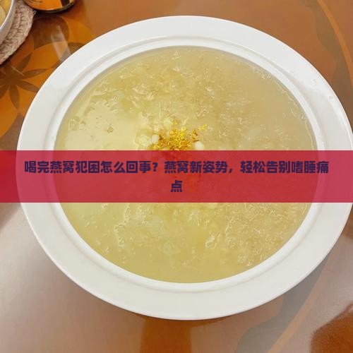 喝完燕窝犯困怎么回事？燕窝新姿势，轻松告别嗜睡痛点