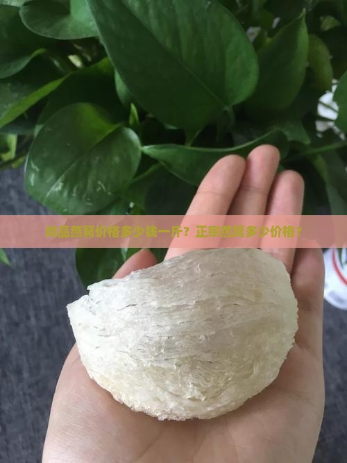 尚品燕窝价格多少钱一斤？正宗燕窝多少价格？