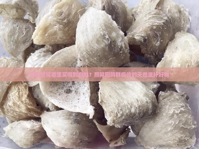 印尼燕窝哪里买得到真的？燕窝回购群疯传的天然滋补好物
