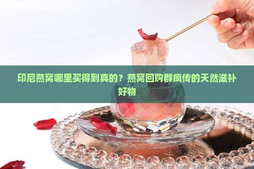 印尼燕窝哪里买得到真的？燕窝回购群疯传的天然滋补好物