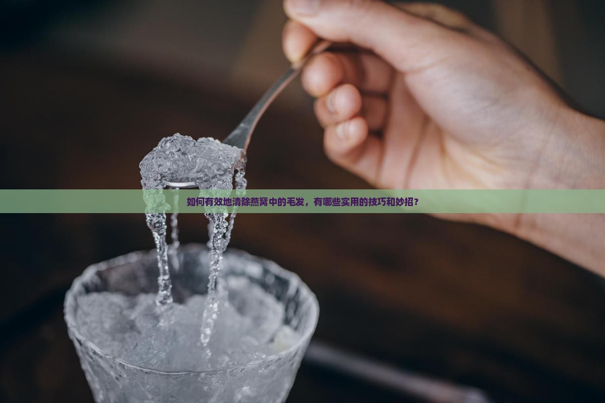 如何有效地清除燕窝中的毛发，有哪些实用的技巧和妙招？