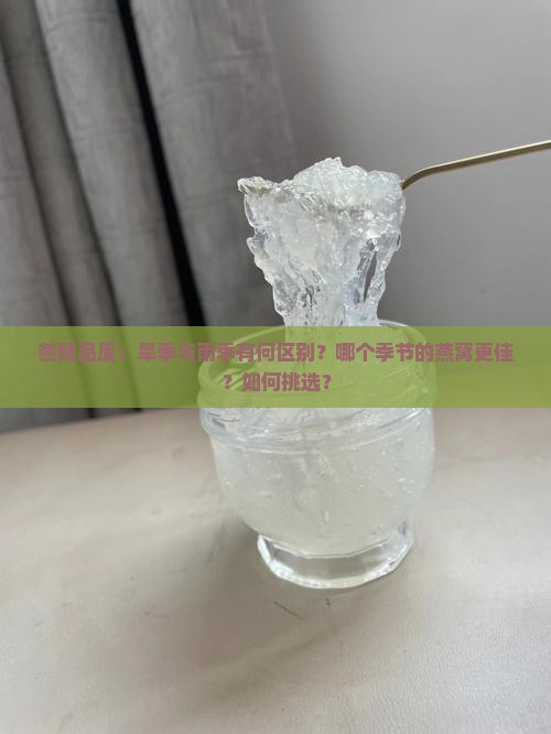 燕窝品质：旱季与雨季有何区别？哪个季节的燕窝更佳？如何挑选？