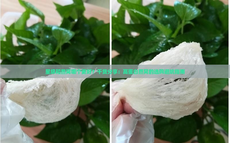 星级和燕窝哪个更好？干货分享：高蛋白燕窝的选购避坑指南