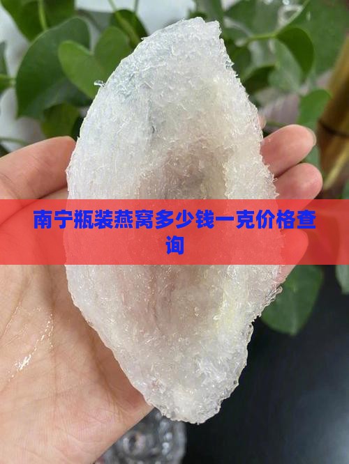 南宁瓶装燕窝多少钱一克价格查询