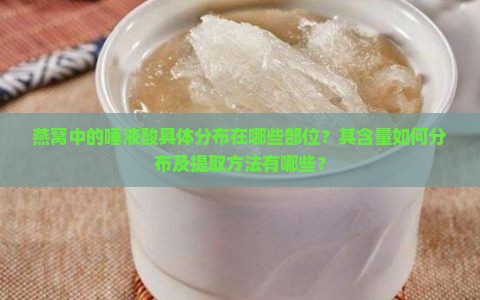 燕窝中的唾液酸具体分布在哪些部位？其含量如何分布及提取方法有哪些？