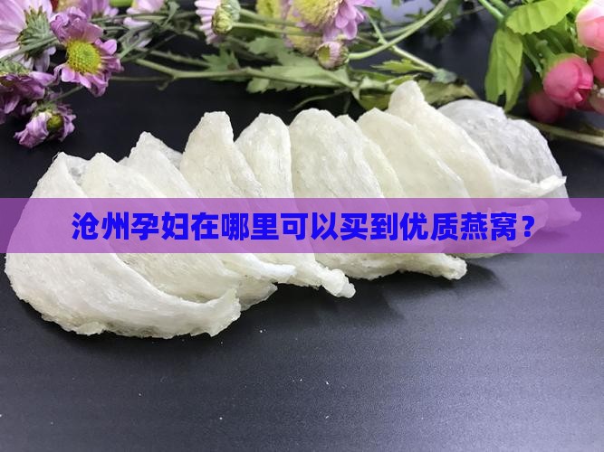 沧州孕妇在哪里可以买到优质燕窝？