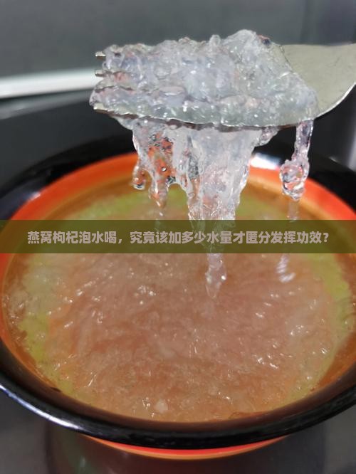 燕窝枸杞泡水喝，究竟该加多少水量才匿分发挥功效？