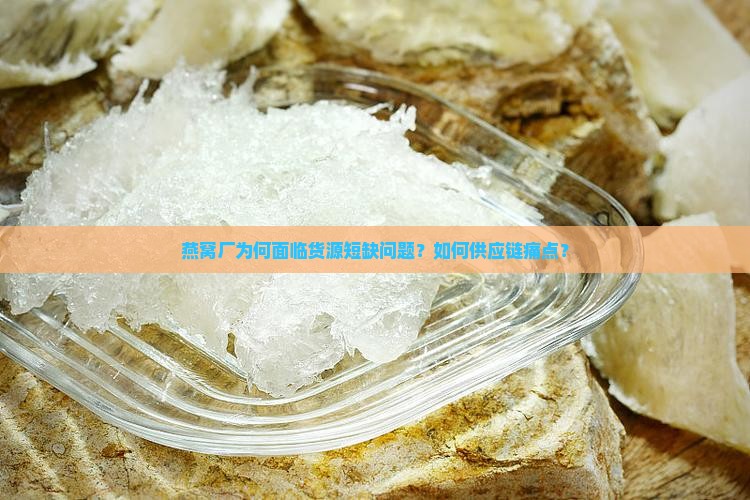 燕窝厂为何面临货源短缺问题？如何供应链痛点？