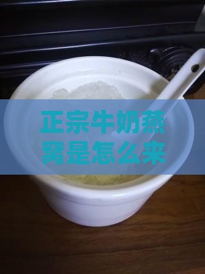 正宗牛奶燕窝是怎么来的窝的详细介绍