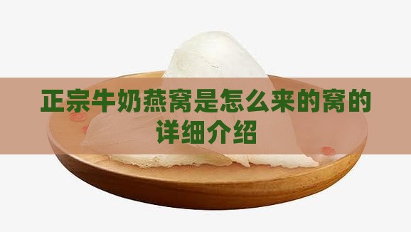 正宗牛奶燕窝是怎么来的窝的详细介绍