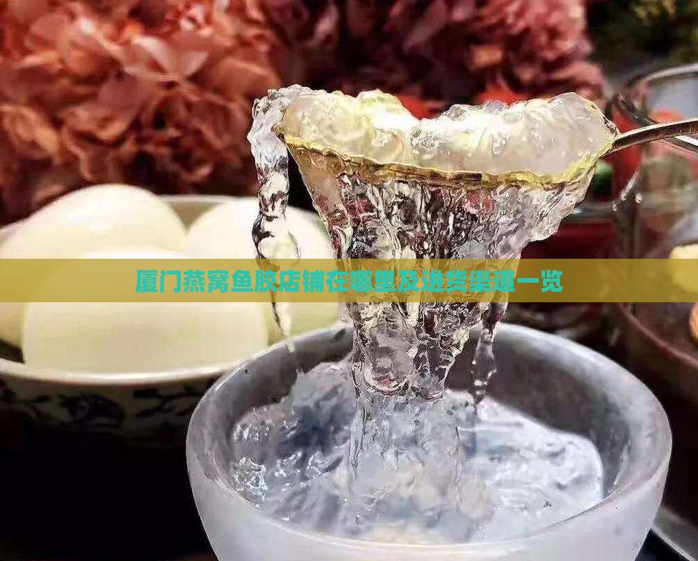 厦门燕窝鱼胶店铺在哪里及进货渠道一览