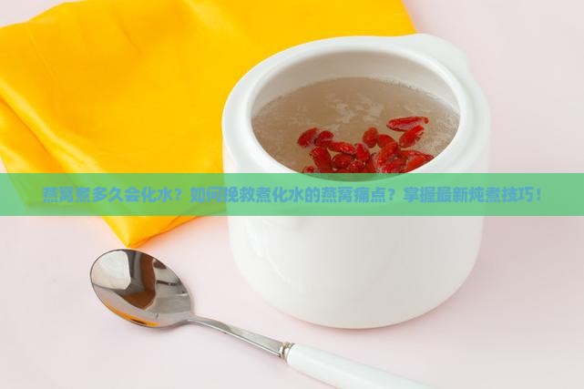 燕窝煮多久会化水？如何挽救煮化水的燕窝痛点？掌握最新炖煮技巧！
