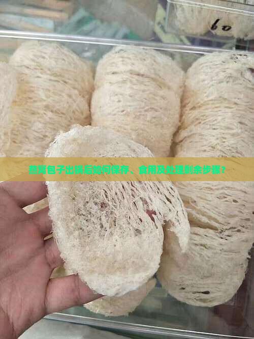 燕窝包子出锅后如何保存、食用及处理剩余步骤？