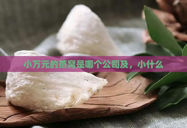 小万元的燕窝是哪个公司及，小什么