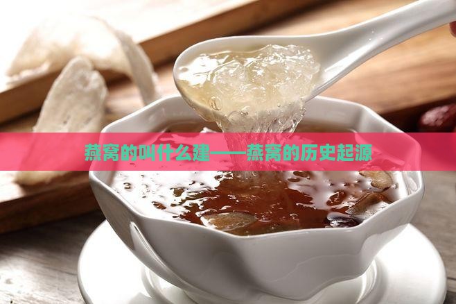 燕窝的叫什么建——燕窝的历史起源